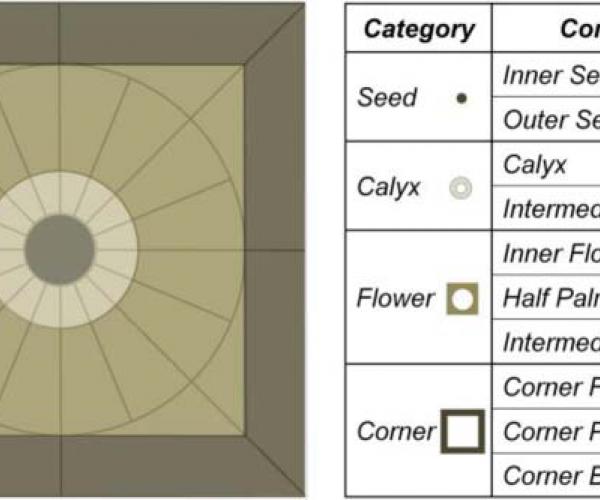 A formal approach to the study of the evolution and commonality of patterns
